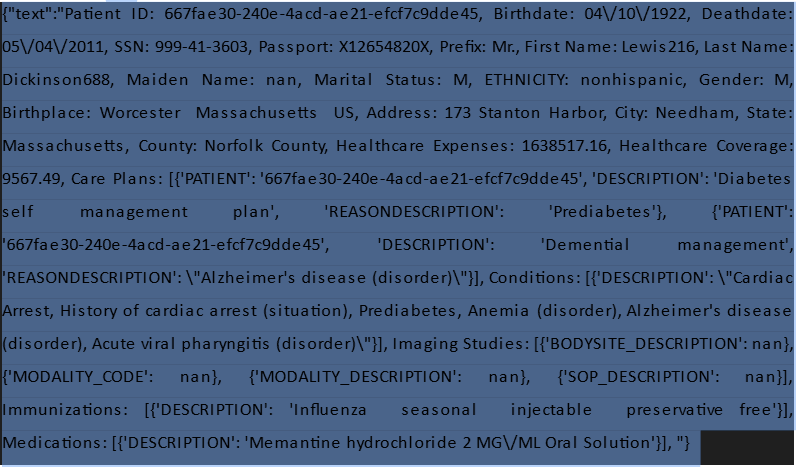 Final Dataset Format