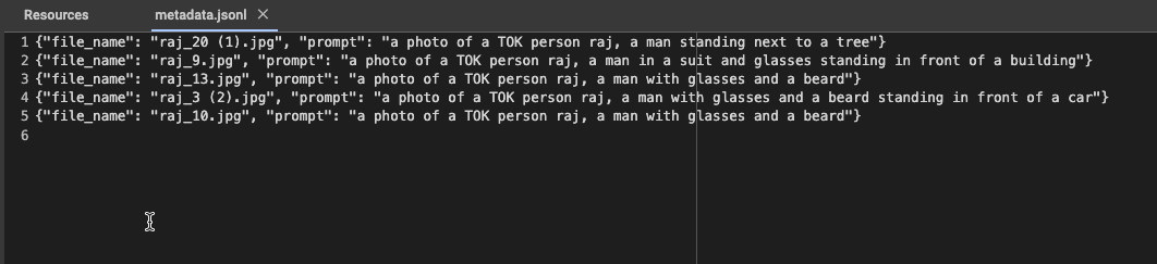 Structured caption data showing our standard format and identifier system